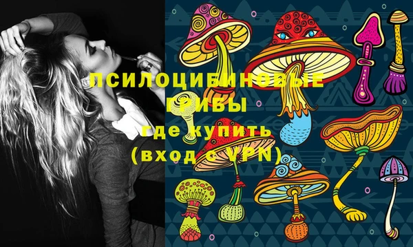 прущий лед Белокуриха